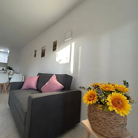 Con Terraza,piscina,playa Y Aire Acondicionado * Pineda de Mar