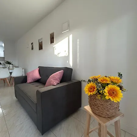Con Terraza,piscina,playa Y Aire Acondicionado Daire Pineda de Mar
