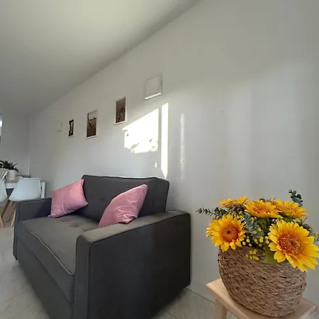 Daire Con Terraza,piscina,playa Y Aire Acondicionado