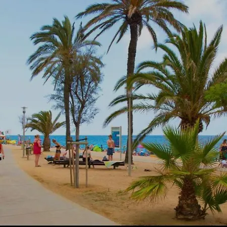 Con Terraza,piscina,playa Y Aire Acondicionado